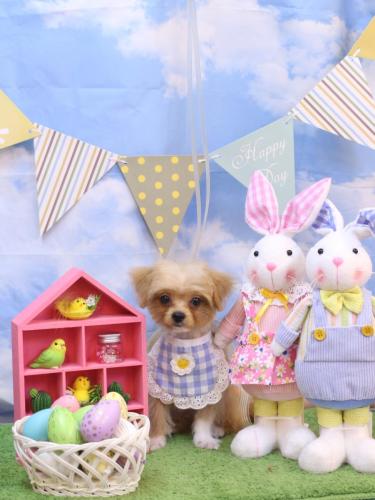 20240309ハクくん